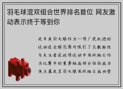 羽毛球混双组合世界排名首位 网友激动表示终于等到你